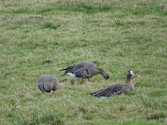 为球队提供 为球队提供