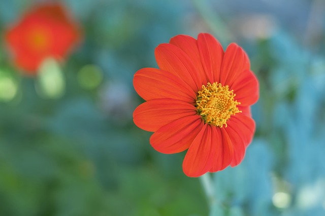 可以期待的 可以期待的