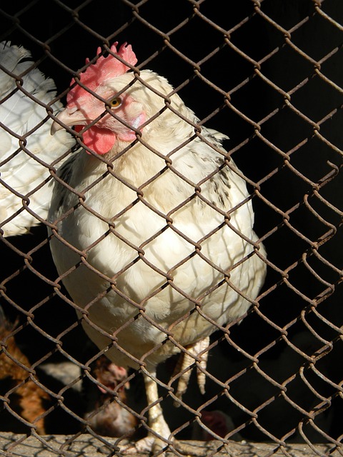 揭秘成功背 揭秘成功背