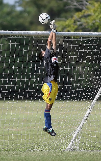 整合与协作 整合与协作