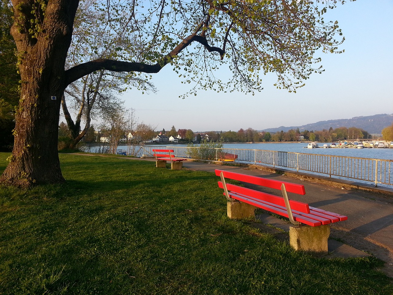 他的潜力 他的潜力