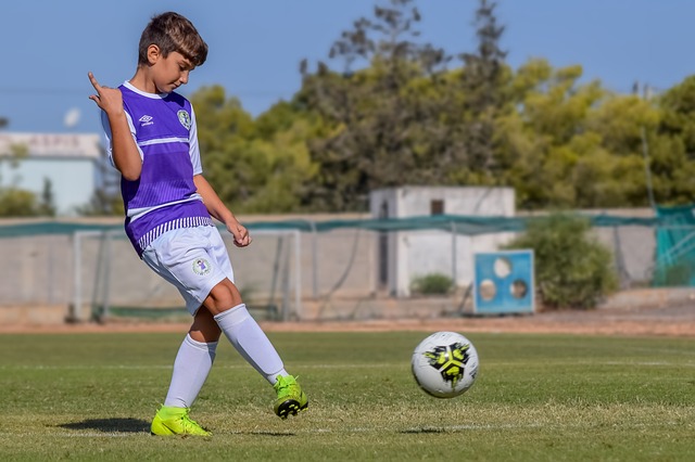 数据来看 数据来看